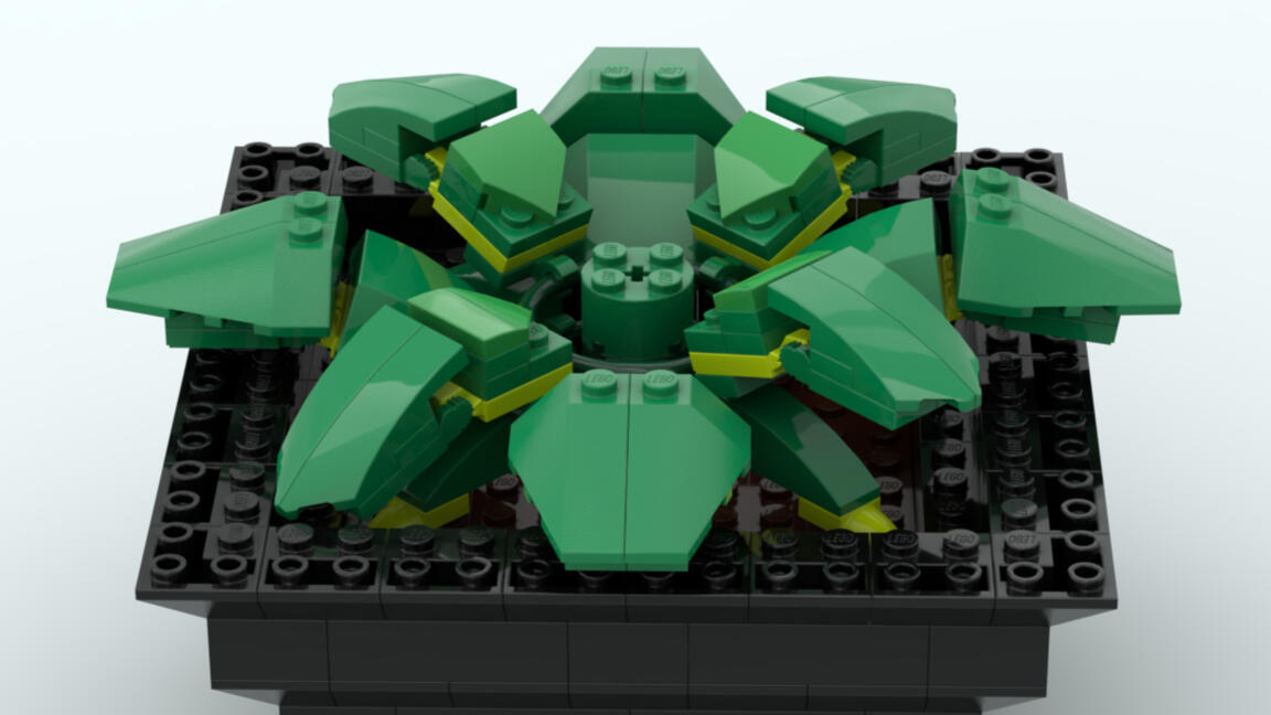 Upcoming Plant Project