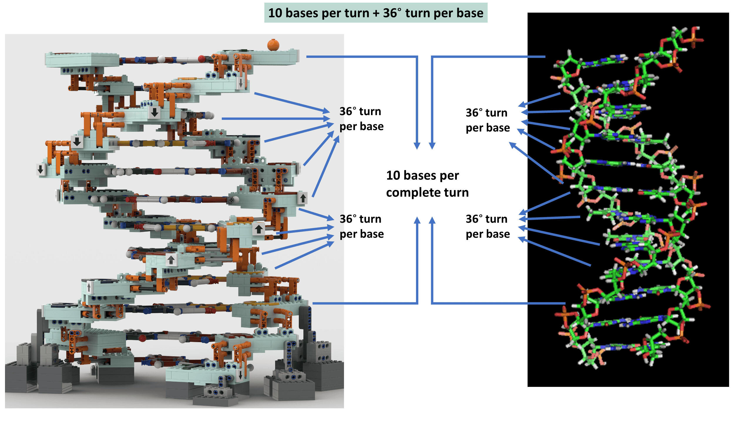 Accurate DNA Geometry